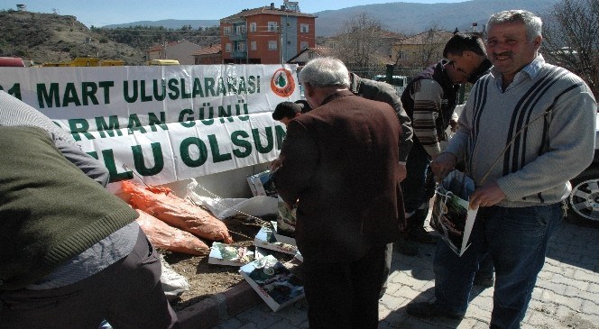 Dünya  Ormancılık  Günü'nde  2  Bin  300  Fidan  Dağıtıldı