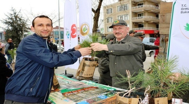 Düzce'de  Ücretsiz  10  Bin  Adet  Fidan  Dağıtıldı