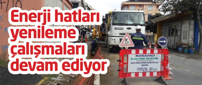 Enerji hatları yenileme çalışmaları devam ediyor