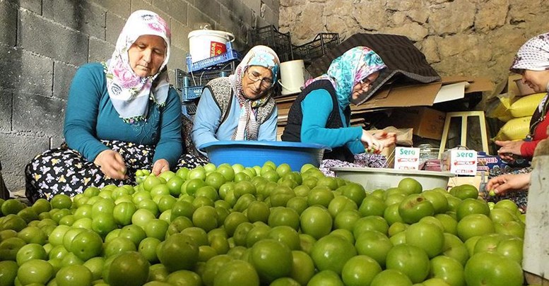 Eriğin fiyatı 30 liraya düştü