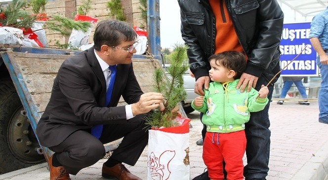 Eskişehirlilere  Fidan  Dağıtımı  Devam  Ediyor