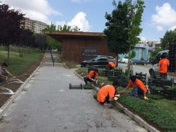 Eyüpsultan Çiçeklerle Donatılıyor
