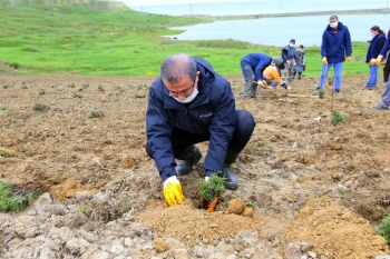 Eyüpsultan Lavanta Cenneti Oluyor
