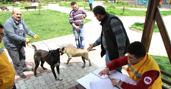 Evcil hayvanlar için ücretsiz aşı kampanyası 