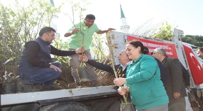 Gaziemir'de  3  Bin  Meyve  Fidanı  Dağıtıldı