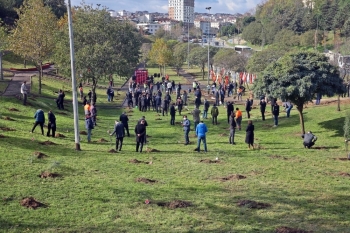 Gaziosmanpaşa’Da Şehit Öğretmenler Anısına Fidan Dikildi
