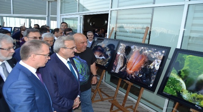 Gemlik  Körfezinde  Su  Altındaki  Hayat  Fotoğraflandı