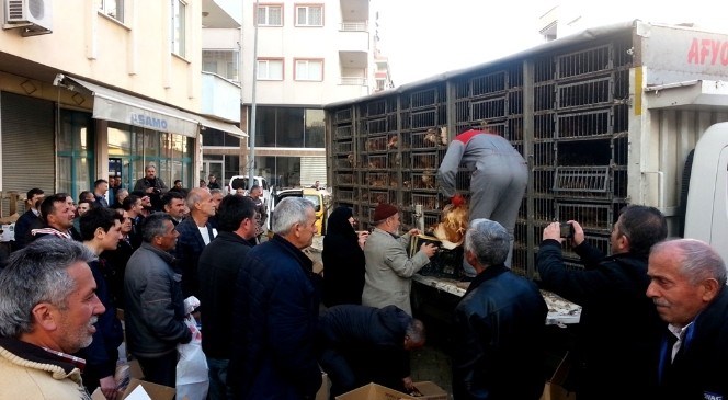 Giresunlu  Çiftçilere  500  Adet  Tavuk  Dağıtıldı