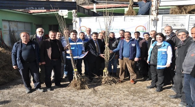 Gümüşhane'de  Çiftçilere  Meyve  Fidanı  Dağıtımı  Yapıldı