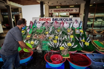 Havaların Soğumaması Balık Fiyatlarını Yükseltiyor
