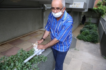 Hayvan Ambulansı Minik Dostlar İçin Hizmete Başladı
