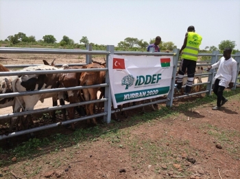 İddef, Kurban Organizasyonuna Hazır
