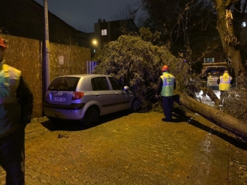 İstanbul’Da Fırtına Ağaçları Devirdi
