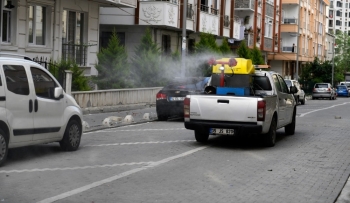 İstanbul’Da Korona Mücadelesine Sinek Mücadelesi Eklendi
