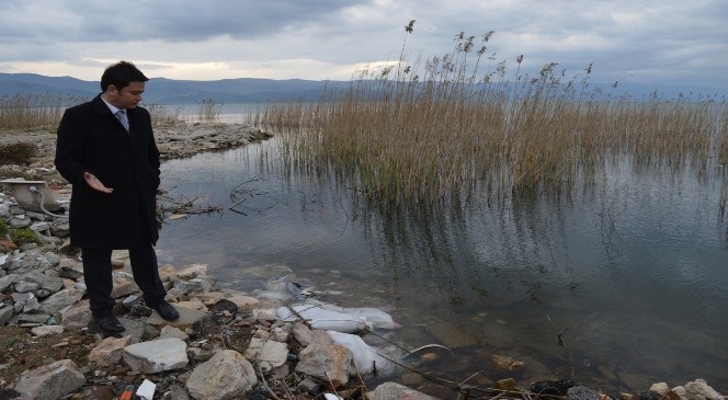 İznik  Gölü'ndeki  Kirlilik  Meclis  Gündeminde