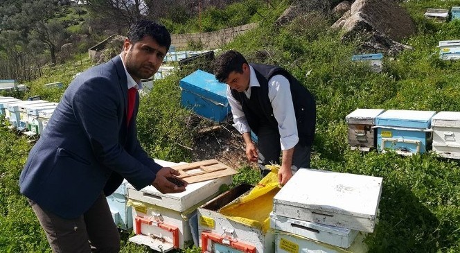 Kabızlık  Sorunu  Bu  Defa  Türk  Arılarını  Vurdu