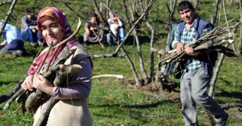 Kadınların en uzun ve en kısa yaşadığı iller