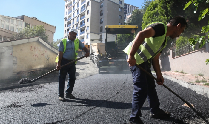 Karadolap Mahallesi Asmalı Caddesi’nde asfalt çalışması