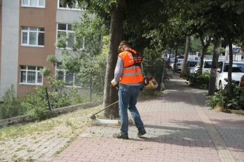 Karadolap Mahallesi’Nde Yaz Kampanyası Çalışmaları
