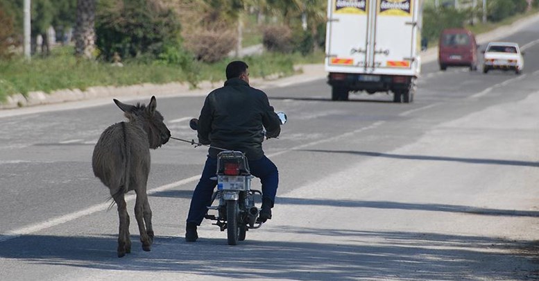 Karayolunda eşeğe motosikletli eziyet