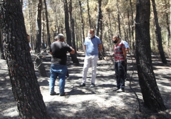 Kartal Belediye Ekipleri Aydos’Ta Çıkan Yangının Söndürme Çalışmalarına Destek Verdi
