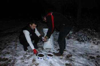 Kartal Belediyesi Soğuk Kış Günlerinde De Sokak Hayvanlarının Yanında
