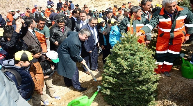 Konya'da  5  Milyon  Fidan  Toprakla  Buluşuyor