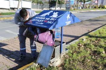 Küçükçekmece’De Kısıtlamalarda Sokak Hayvanları Unutulmuyor
