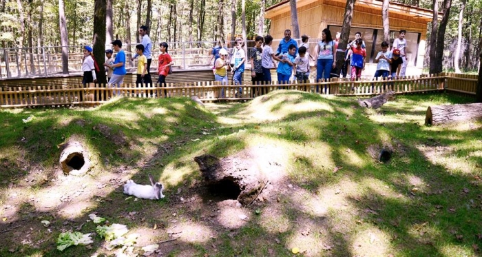 KURBAN BAYRAMI’NDA KORUNAN ALANLARA ZİYARETÇİ AKINI