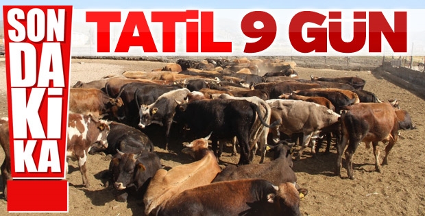 Kurban Bayramı tatili 9 gün