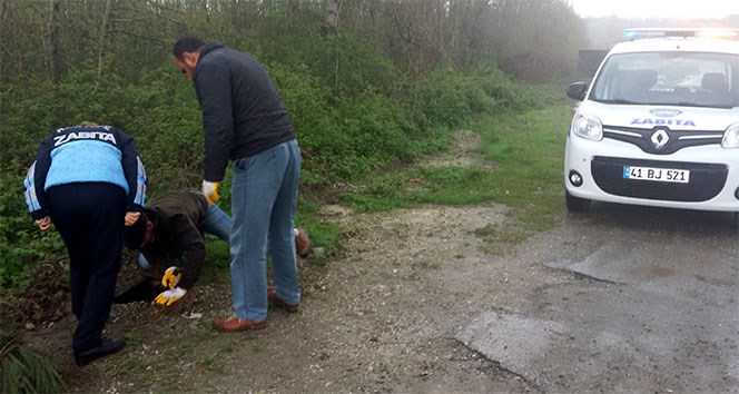 Logara düşen köpeği belediye ekipleri kurtardı