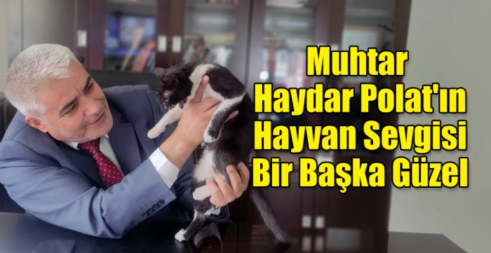 Muhtar Haydar Polat'ın Hayvan Sevgisi Bir Başka Güzel