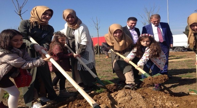 Orman  Haftası'nda  Abla  Kardeş  Fidan  Diktiler