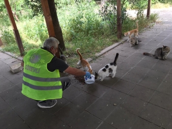 Patili Dostlar, Sokağa Çıkma Yasağı Süresince Kartal Belediyesine Emanet
