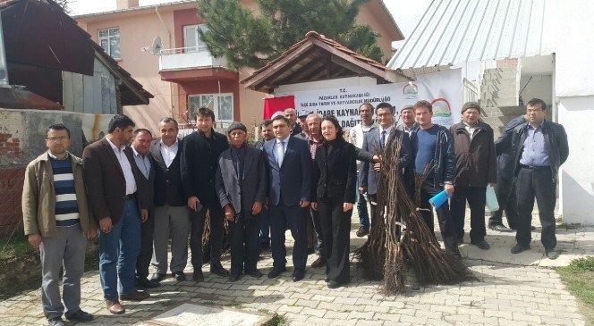 Pazarlar'da  Ücretsiz  Ceviz  Fidanı  ve  Çerezlik  Kabak  Tohumu  Dağıtıldı