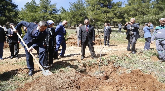 Şahinbey  Belediyesi  Başkanı  Mehmet  Tahmazoğlu: