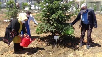 Sancaktepe’De 400 Sağlık Çalışanı Annenin Adına Sahra Hastanesi’Ne Fidan Dikildi
