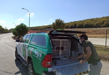 Sarıyer’De ‘Tehlike Irk’ Köpek Besleyen Şahsa Cezai İşlem Uygulandı
