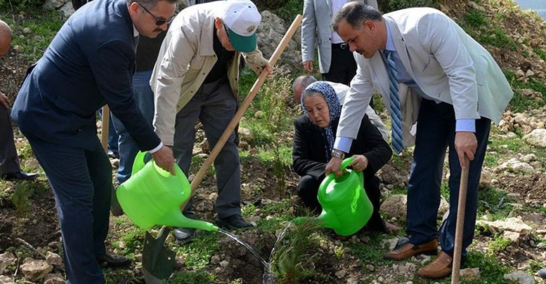 Şehidin adını yaşatmak için hatıra ormanı oluşturuldu