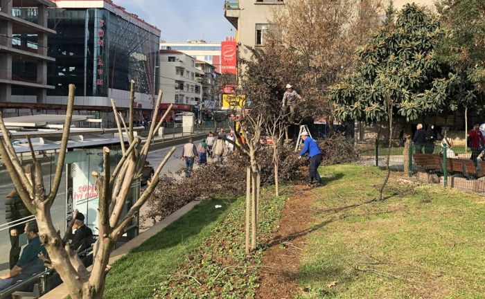 Sultangazi Belediyesi'nden Yeşil Alanlara Bakım