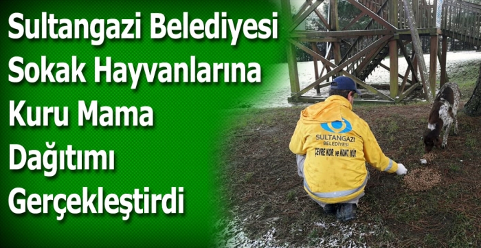 Sultangazi Belediyesinden Sokak Hayvanlarına Kuru Mama