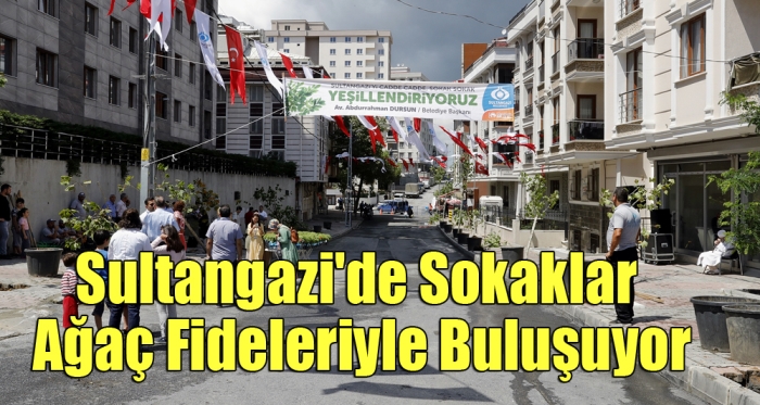 Sultangazi'de Sokaklar Ağaç Fideleriyle Buluşuyor