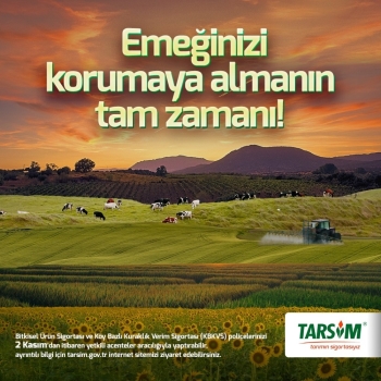 Tarsim: "Emeğinizi Korumaya Almanın Tam Zamanı”
