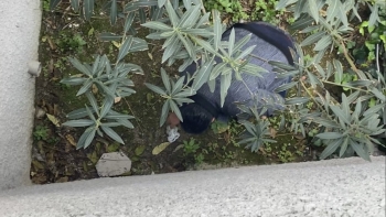 Torbacıların Bıçaklı Kavgasına Polisin Suçüstü Baskını Kamerada
