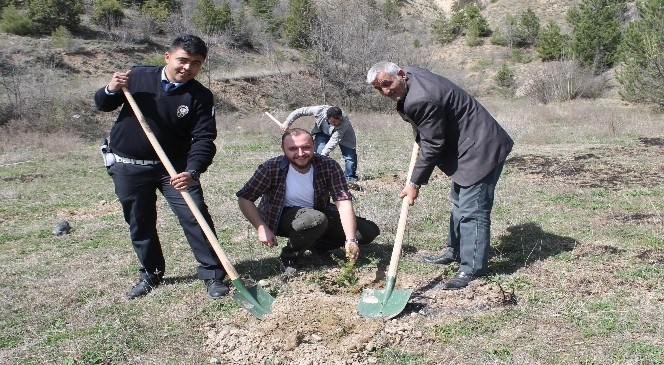 Tosya'da  Polis  Haftası  171  Fidan  Dikimi  İle  Başladı