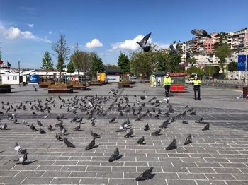 Trafik Polisleri Sokağa Çıkma Kısıtlamasında Güvercinleri Unutmadı
