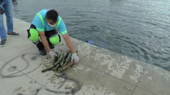 Tuzla’Da Atık Problemine Dikkat Çekmek İçin Denizden Çuvallarla Atık Çıkarıldı
