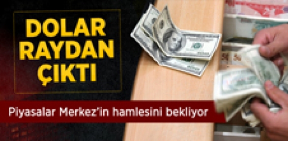 Dolar Tarihi Zirveyi Gördü