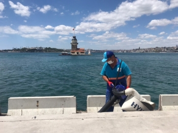 Üsküdar Sahilde Çekirdek Yasağına Drone İle Denetim
