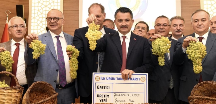 ÜZÜM’DE REKOLTE TAHMİNİ 300 BİN TON